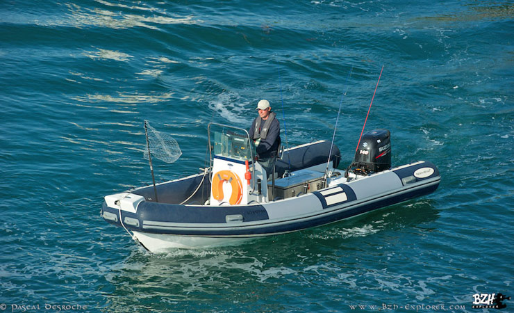 Sortie pêche, semi rigide northstar